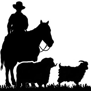 RANCH & RURAL LIVING