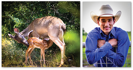 Photo contest entries.