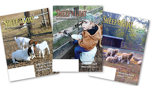 Sheep & Goat Magazine